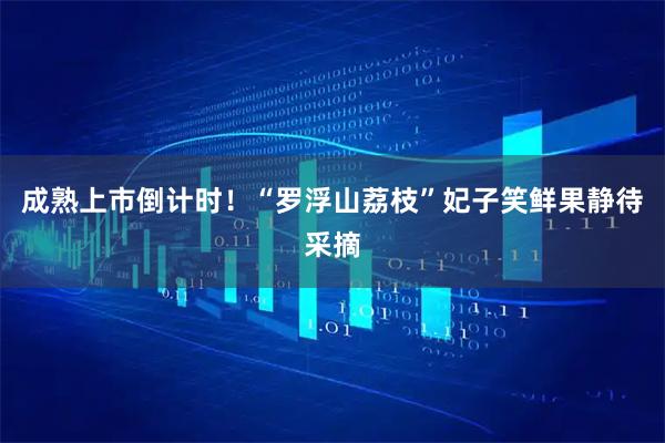 成熟上市倒计时！“罗浮山荔枝”妃子笑鲜果静待采摘