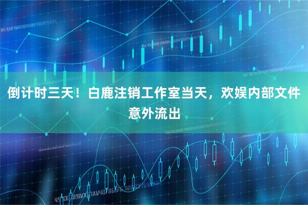 倒计时三天！白鹿注销工作室当天，欢娱内部文件意外流出